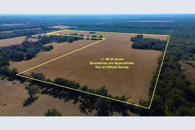 00 121st Rd, O'Brien, FL 32071 - Photo 3