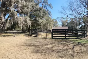 8901 NW 136th Ave Rd, Ocala, FL 34482 - Photo 9