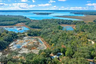 15120 NE 240th Ct, Salt Springs, FL 32134 - Photo 51