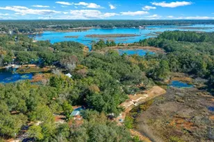 15120 NE 240th Ct, Salt Springs, FL 32134 - Photo 53