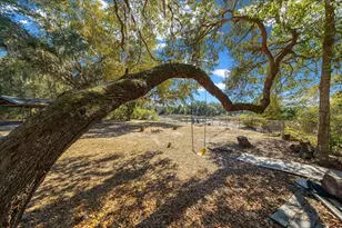 15120 NE 240th Ct, Salt Springs, FL 32134 - Photo 37