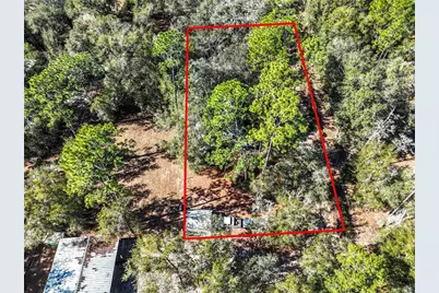 20434 NE 143rd Place, Salt Springs, FL 32134 - Photo 37