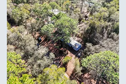 20434 NE 143rd Place, Salt Springs, FL 32134 - Photo 9