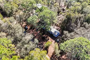 20434 NE 143rd Pl, Salt Springs, FL 32134 - Photo 9