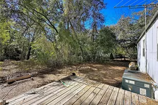 20434 NE 143rd Pl, Salt Springs, FL 32134 - Photo 23