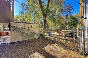 20434 NE 143rd Pl, Salt Springs, FL 32134 - Photo 27