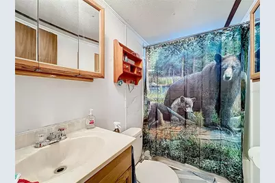 20434 NE 143rd Place, Salt Springs, FL 32134 - Photo 21