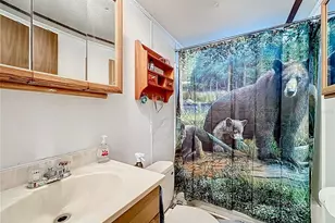 20434 NE 143rd Pl, Salt Springs, FL 32134 - Photo 21