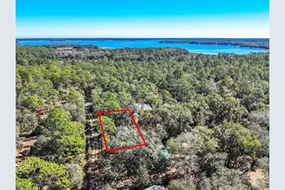 20434 NE 143rd Place, Salt Springs, FL 32134 - Photo 35