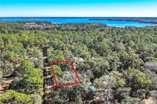 20434 NE 143rd Pl, Salt Springs, FL 32134 - Photo 35