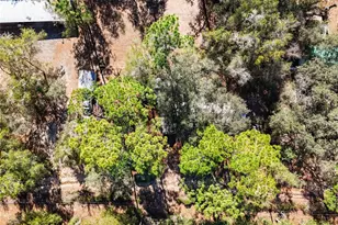 20434 NE 143rd Pl, Salt Springs, FL 32134 - Photo 31