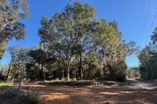 Tbd NE 135 Ave, Fort Mc Coy, FL 32134 - Photo 1