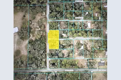 Tbd NE 135 Avenue, Fort Mc Coy, FL 32134 - Photo 7