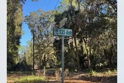 Tbd NE 135 Avenue, Fort Mc Coy, FL 32134 - Photo 5