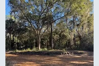 Tbd NE 135 Avenue, Fort Mc Coy, FL 32134 - Photo 1