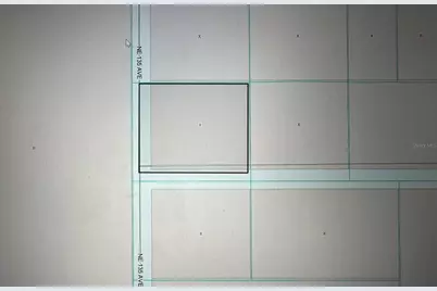 Tbd NE 135 Avenue, Fort Mc Coy, FL 32134 - Photo 3