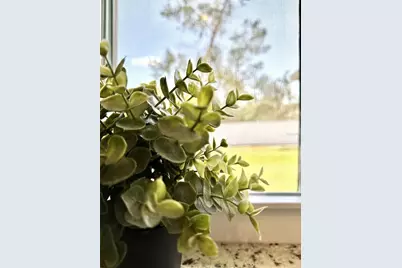 2409 SW 156th Loop, Ocala, FL 34473 - Photo 33