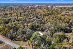 14711 Grayoak Ln, Hudson, FL 34669 - Photo 39