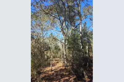 Tbd NE 87th Place, Bronson, FL 32621 - Photo 7