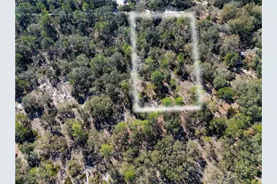 Tbd NE 87th Place, Bronson, FL 32621 - Photo 3