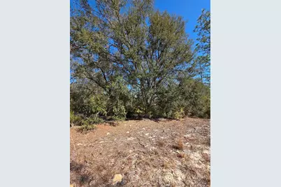 Tbd NE 87th Place, Bronson, FL 32621 - Photo 9