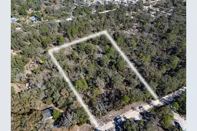 Tbd NE 87th Place, Bronson, FL 32621 - Photo 5
