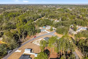 6 Locust Course Radial, Ocala, FL 34472 - Photo 39