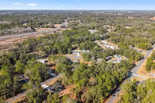 6 Locust Course Radial, Ocala, FL 34472 - Photo 41