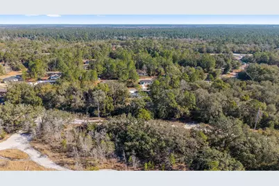 20 Locust Course Radial, Ocala, FL 34472 - Photo 47