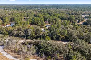 20 Locust Course Radial, Ocala, FL 34472 - Photo 47