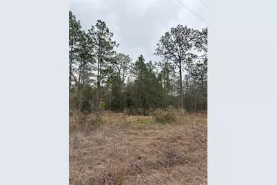 1159 NW Redwood Drive, Dunnellon, FL 34431 - Photo 3