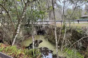 2380 NW 34th Pl, Lake Panasoffkee, FL 33538 - Photo 41