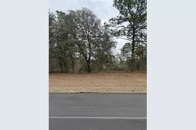 Sw 135th Loop, Ocala, FL 34473 - Photo 1