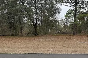 SW 135th Loop, Ocala, FL 34473 - Photo 1