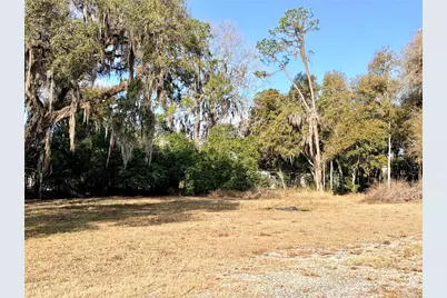 5666 S Florida Avenue, Floral City, FL 34436 - Photo 9