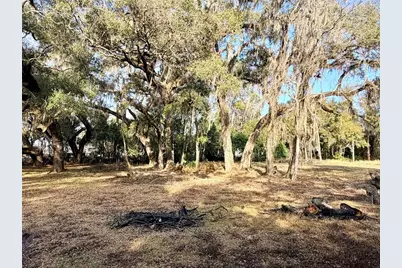 5666 S Florida Avenue, Floral City, FL 34436 - Photo 3