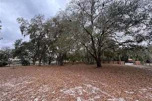 13329 NE 38th Ave, Anthony, FL 32617 - Photo 5