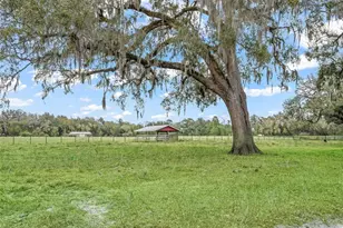 4430 Cr 542H, Bushnell, FL 33513 - Photo 35