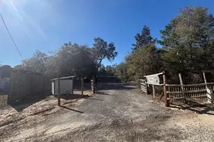 14500 NE 188th Pl, Fort Mc Coy, FL 32134 - Photo 33