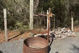 14500 NE 188th Pl, Fort Mc Coy, FL 32134 - Photo 31