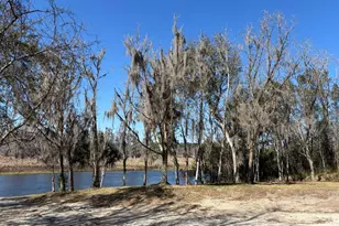 14500 NE 188th Pl, Fort Mc Coy, FL 32134 - Photo 35