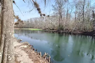 14850 NE 159th Pl, Fort Mc Coy, FL 32134 - Photo 37