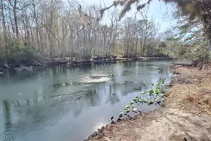 14850 NE 159th Pl, Fort Mc Coy, FL 32134 - Photo 35