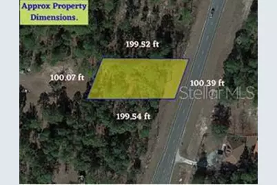 Se State Road 121 Lot 4, Morriston, FL 32668 - Photo 9