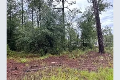 Se State Road 121 Lot 4, Morriston, FL 32668 - Photo 13