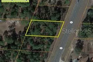 SE State Road 121 Lot 4, Morriston, FL 32668 - Photo 1