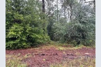 Se State Road 121 Lot 4, Morriston, FL 32668 - Photo 7