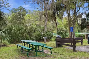 7974 SW 181st Cir, Dunnellon, FL 34432 - Photo 51