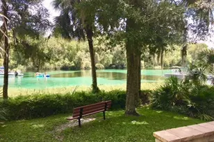 7974 SW 181st Cir, Dunnellon, FL 34432 - Photo 43