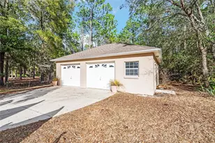 7974 SW 181st Cir, Dunnellon, FL 34432 - Photo 45